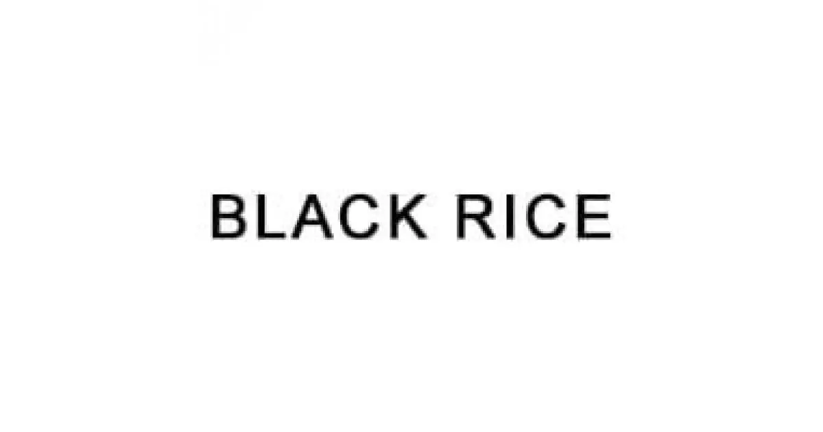 Black rice cover. Блэк Райс. Black Rice BB. Black Rice BB Cream оттенки. Black Rice ББ крем с экстрактом черного риса.